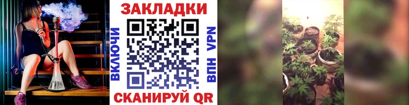 Магазины продажи наркотиков Дубна Кокаин  A PVP  Марихуана  Бутират  ГАШИШ 