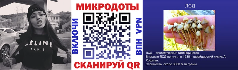 Псилоцибиновые грибы мухоморы  Дубна 