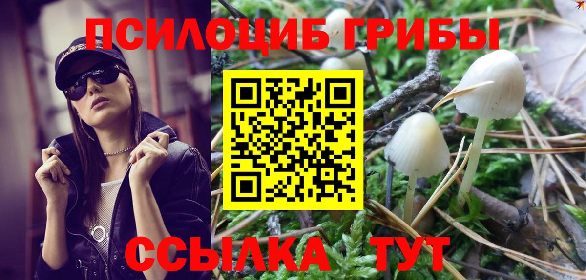 Псилоцибиновые грибы прущие грибы  Вход с VPN  Галлюциногенные грибы мицелий  Дубна 