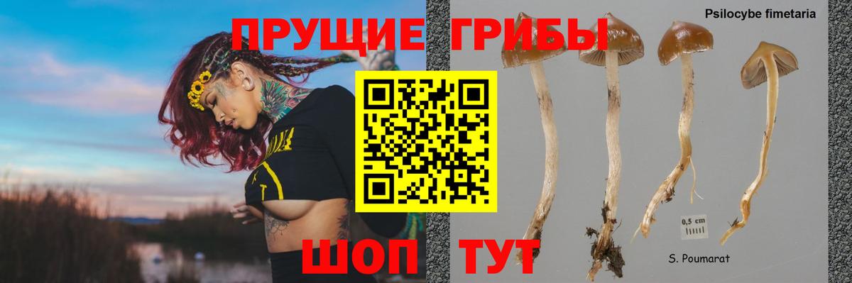 Галлюциногенные грибы мицелий  Дубна 