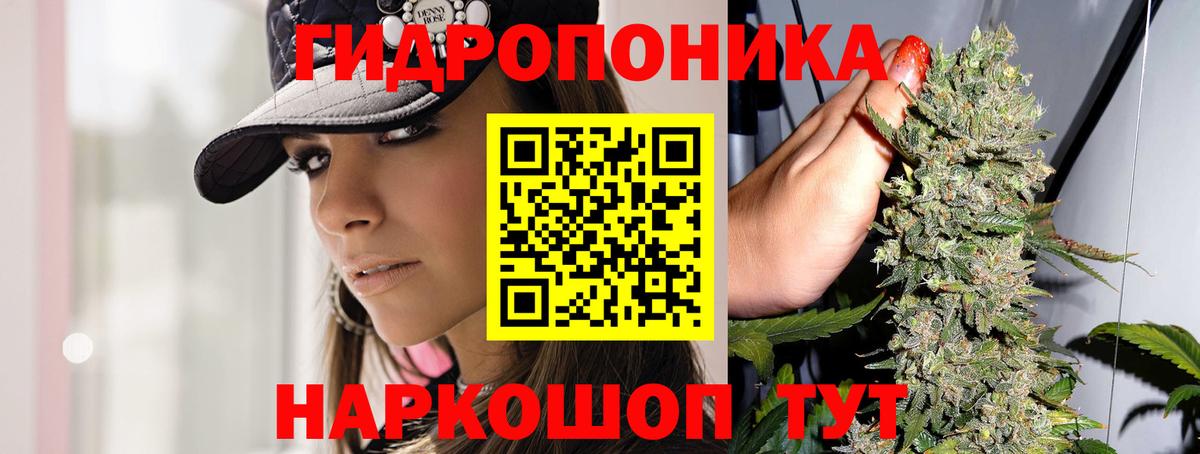 Каннабис индика Дубна